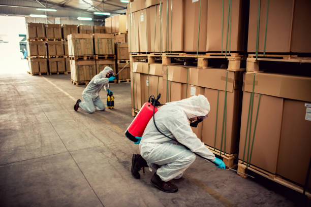 Best Bed Bug Extermination  in Dumas, AR