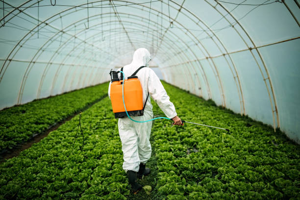 Best Pest Removal Services  in Dumas, AR