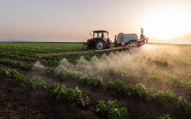 Best Commercial Pest Control Services  in Dumas, AR