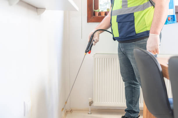 Best Termite Control Services  in Dumas, AR