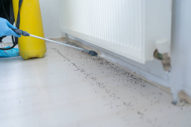 Trusted Dumas, AR Pest Control Experts